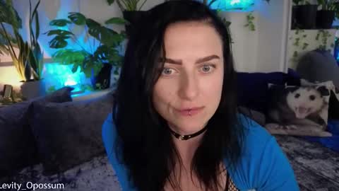 Levity online show from 11.11.25