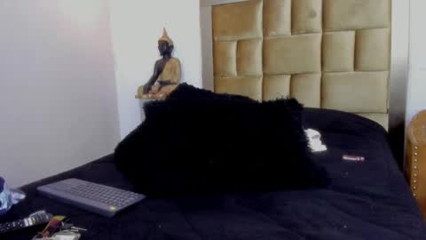 LevySteven online show from 03.11.25