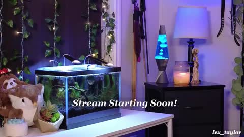 Snapshot of lex_taylor chatting on 02.21.25 Lex online show from 02.21.25