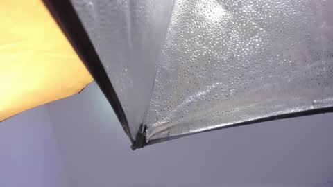 lexy and mia online show from 01.18.26