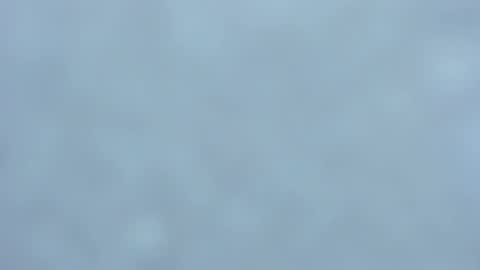 . online show from 02.01.25