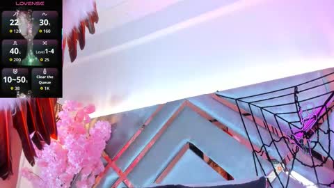 Snapshot of liaagener chatting on 11.01.25 Liaa online show from 11.01.25