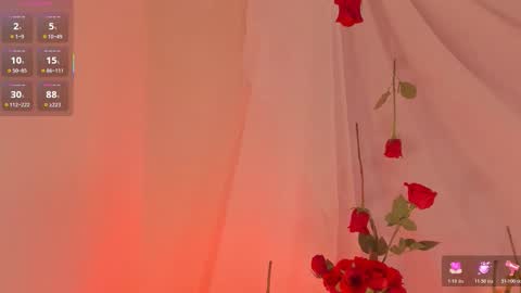 Snapshot of liammcarter chatting on 02.15.26 Liam online show from 02.15.26