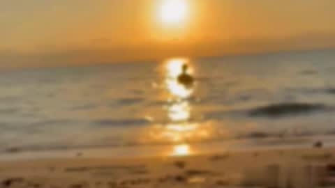 Tell me Liam online show from 01.16.26