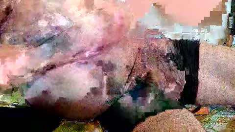 lickingover online show from 04.08.26