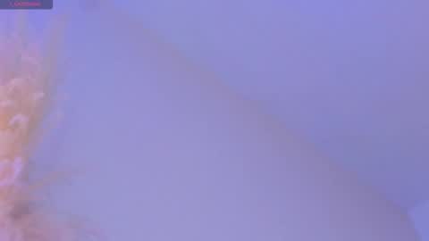 Liiam Luna online show from 11.19.25