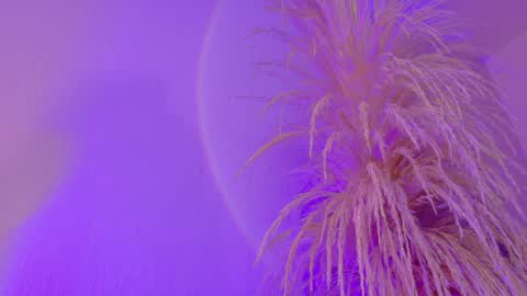 Liiam Luna online show from 03.31.26