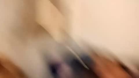 likdatass69247 online show from 12.28.24