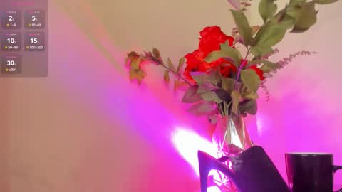 Snapshot of lil_hanna18 chatting on 01.15.26 Hanna online show from 01.15.26