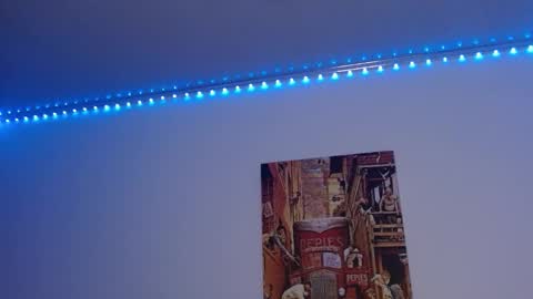 Lisaa online show from 12.07.24