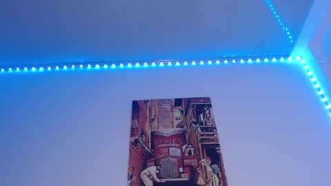 Lisaa online show from 12.08.24