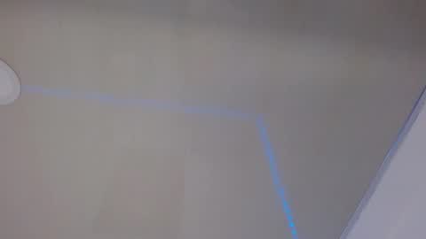 Lisaa online show from 12.11.24