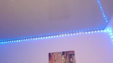 Lisaa online show from 02.11.25