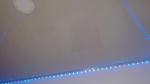 Lisaa online show from 02.27.25