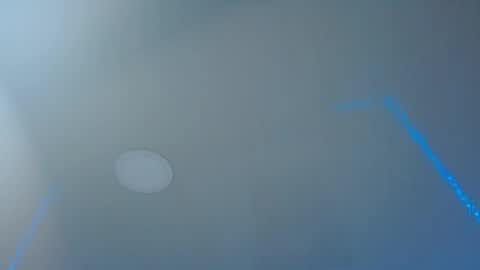 Lisaa online show from 03.05.25