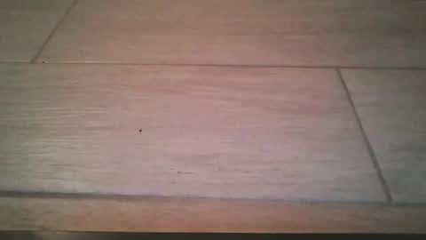 lildicksissy online show from 11.22.25