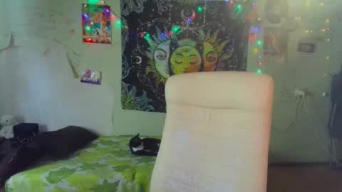 Lil online show from 03.19.26