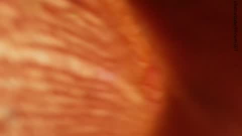 your love online show from 11.24.25