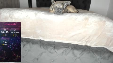 Snapshot of lilith_parker chatting on 01.22.25 Lilith Parker online show from 01.22.25