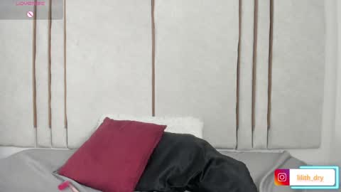 Snapshot of lilithdry chatting on 04.28.26 Lilith online show from 04.28.26