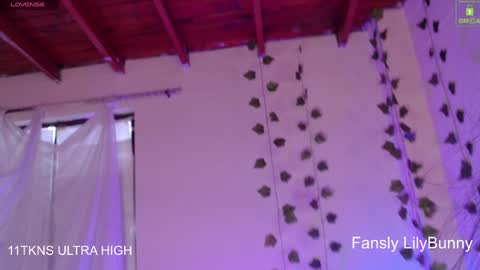 Fansly LilyBunny- help me reach 50 thumbs up online show from 12.06.24