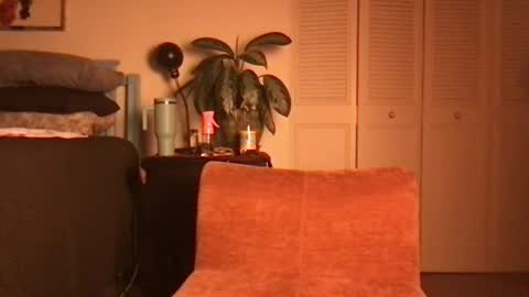Snapshot of lily_henry chatting on 06.19.26 Little Lily online show from 06.19.26