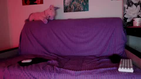 Lily Litle online show from 12.08.24