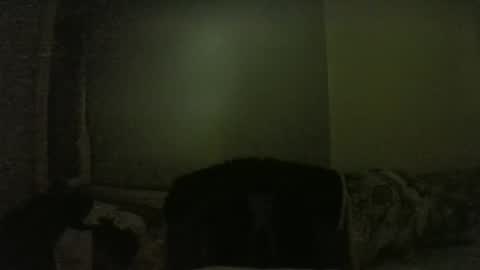 Snapshot of lily_lovelyman_ chatting on 02.01.25 lily lovelyman online show from 02.01.25