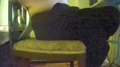 Snapshot of lilylovelyman50 chatting on 06.22.26 lilylovelyman50 online show from 06.22.26