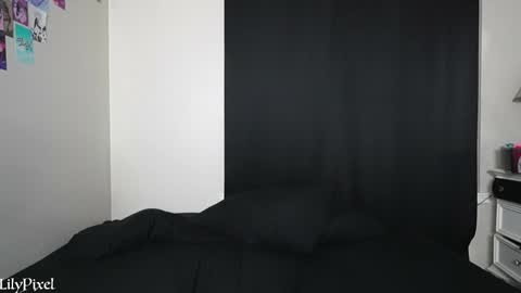 Snapshot of lilypixel chatting on 01.13.25 Liliana Marie Pixelate online show from 01.13.25
