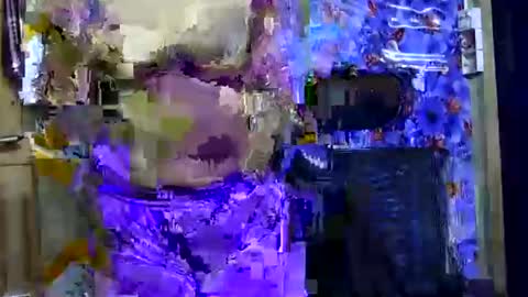 limaakter246618 online show from 10.21.25