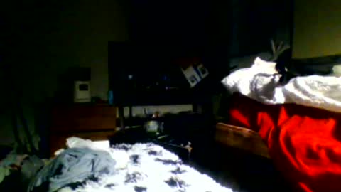 Richie Rich online show from 12.30.24