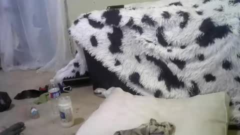 Richie Rich online show from 02.18.25