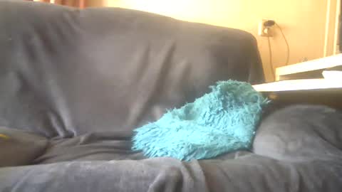 lion160868 online show from 02.03.25