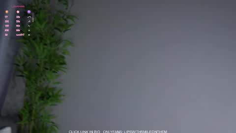 Amelia online show from 02.23.26