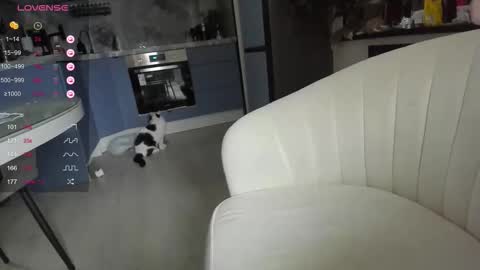 Snapshot of lisa__fox chatting on 03.31.26 Lisa online show from 03.31.26