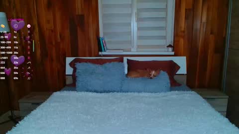 Lisa online show from 02.11.25