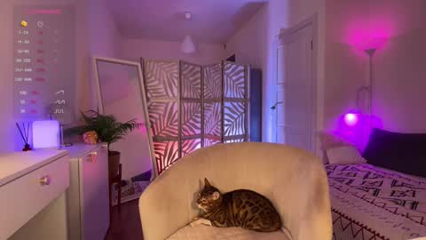 Lisa  online show from 11.20.25