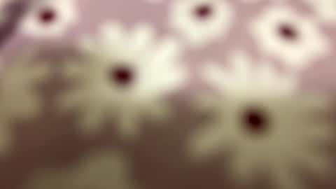 Snapshot of litos666 chatting on 02.24.26 litos666 online show from 02.24.26