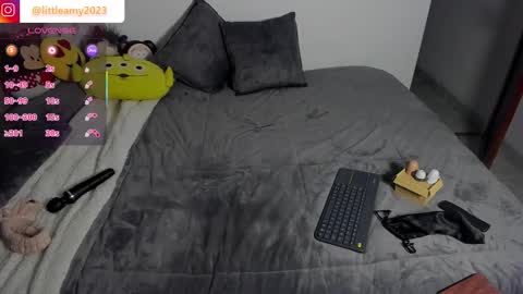 Snapshot of little__ammy chatting on 02.04.26 little__ammy online show from 02.04.26