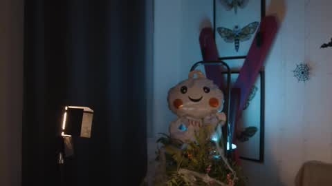 Anita B-day stream on 7TH DEC  online show from 10.28.25