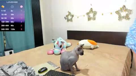 Kat online show from 02.21.26