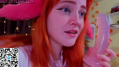 Snapshot of littlefoxyhole chatting on 05.26.26 Molly online show from 05.26.26