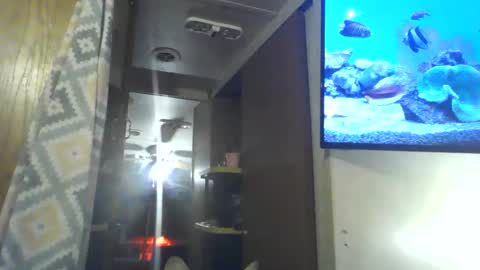 Snapshot of littlegrey376 chatting on 03.02.26 littlegrey376 online show from 03.02.26