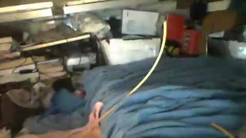 Snapshot of littlejay4773 chatting on 10.04.25 littlejay littlejay online show from 10.04.25