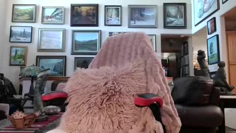 Miss D   Shows Mon Wed  Fri online show from 05.18.26