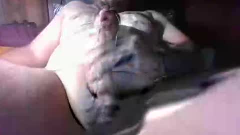 Snapshot of litwinpaweel chatting on 12.02.25 litwinpaweel online show from 12.02.25