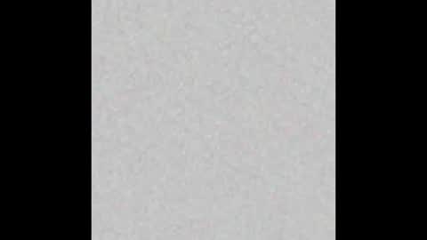 Liz  online show from 02.15.25