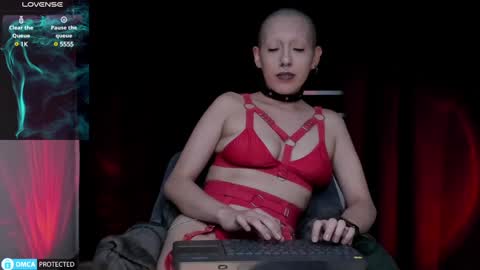 Lynx Mist online show from 12.14.24