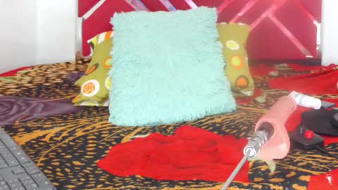 Snapshot of loaisisadaams chatting on 02.28.26 loaisisAdamss online show from 02.28.26